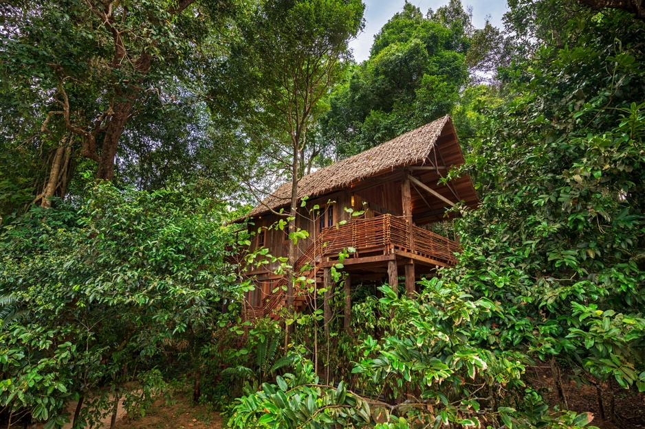Wa Ale Resort Treetop Villa Treehouse Accommodation