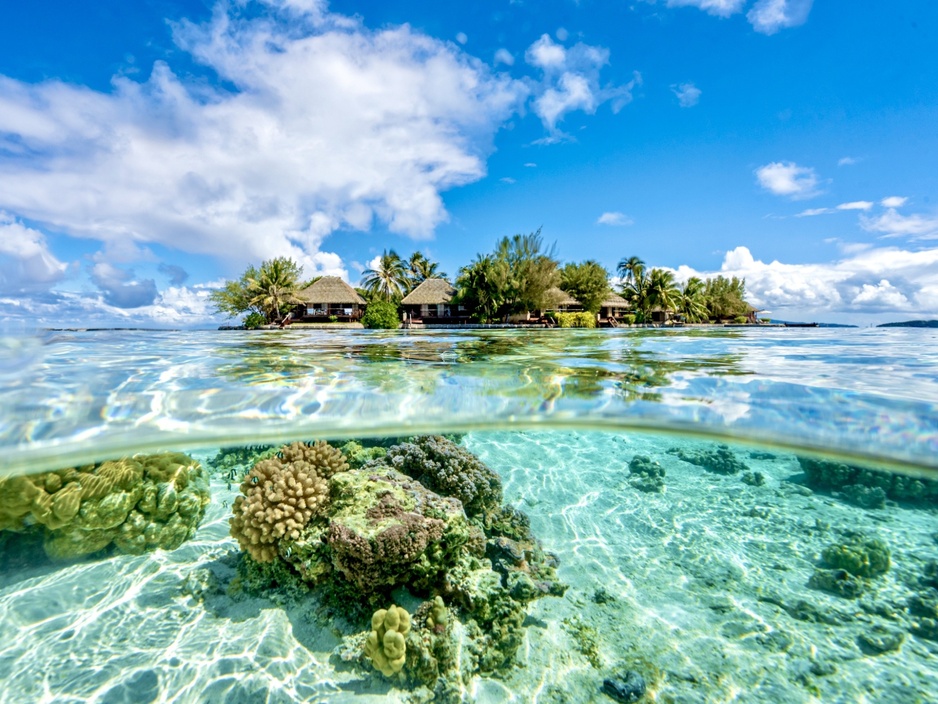 Eden Private Island Taha'a Coral Reef