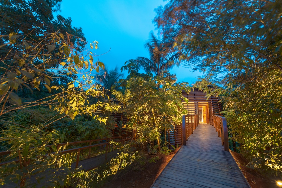 Mirante do Gaviao Amazon Lodge Path to the Restaurant
