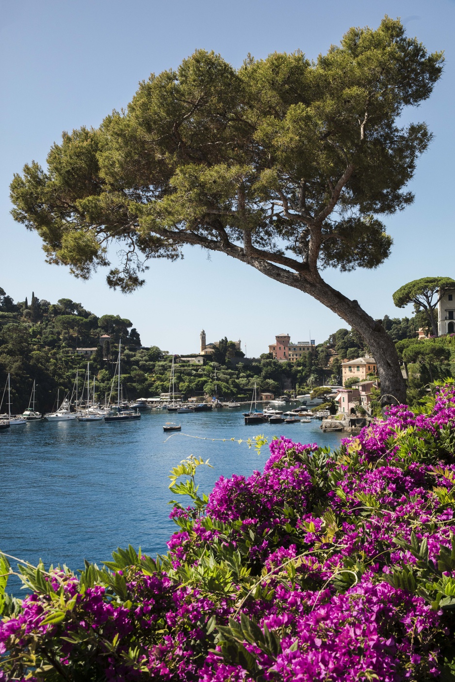 View of Portofino Bay from the sea