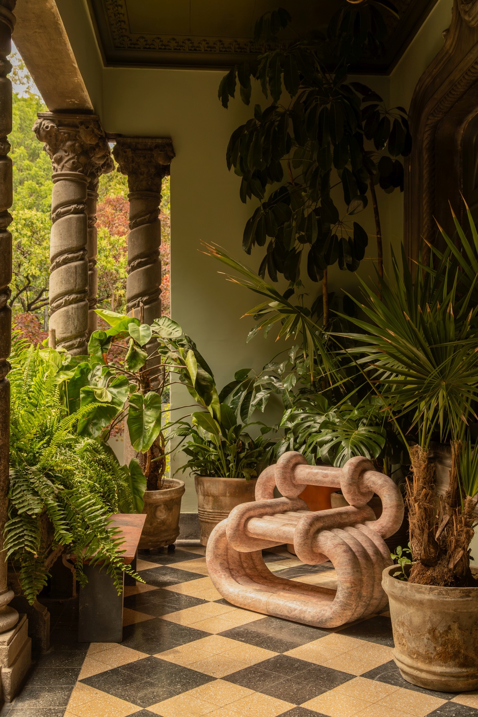 Maison Lézard's Terrace With Lots Of Plants