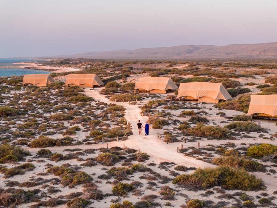 Sal Salis Oceanfront Tents