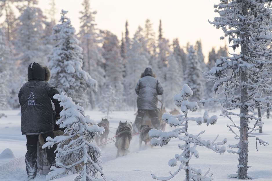 Nivunki Village Huskies