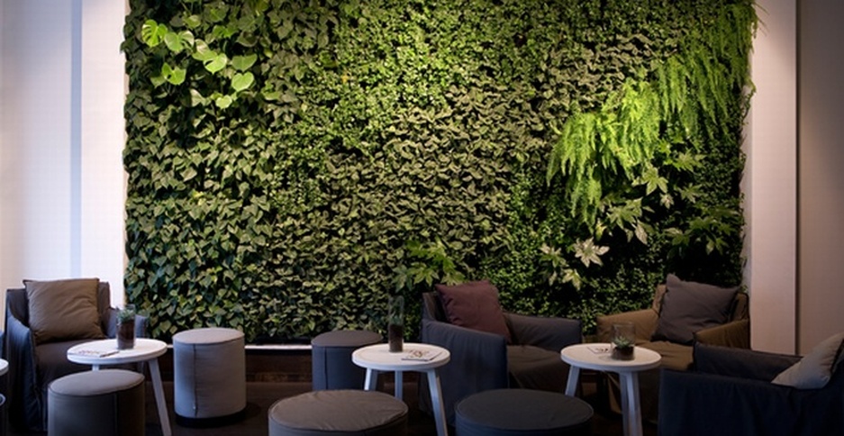 Conscious Hotel Vondelpark - Eco Hotel In Amsterdam