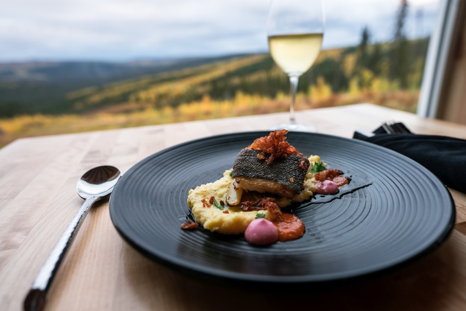 Borealis Basecamp Latitude 65 Restaurant Gourmet Food