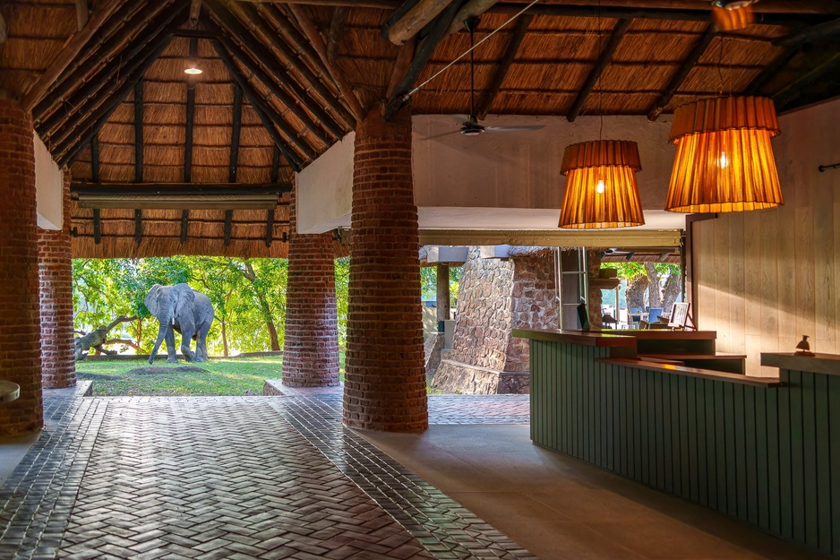 Mfuwe Lodge Elephant in Reception