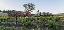 Geneseo Inn - Shipping Containers Turned Into Unique Wine Country Cabins