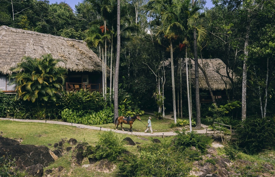 Blancaneaux Lodge Buildings and a Horse