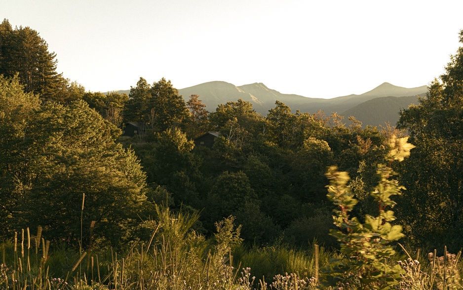 Oasyhotel Lodges in the Forest