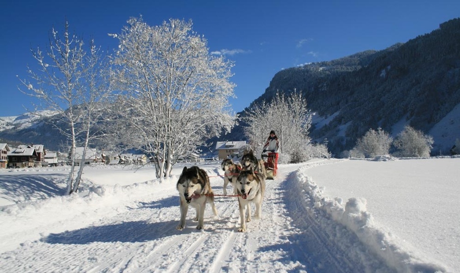 Hüttenhotel Husky Lodge - Huskies And Private Saunas In Switzerland