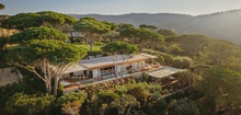 Lily of the Valley - The Hanging Gardens Of The French Riviera
