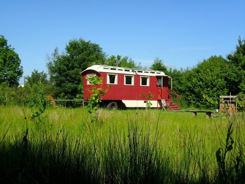Duke wagon