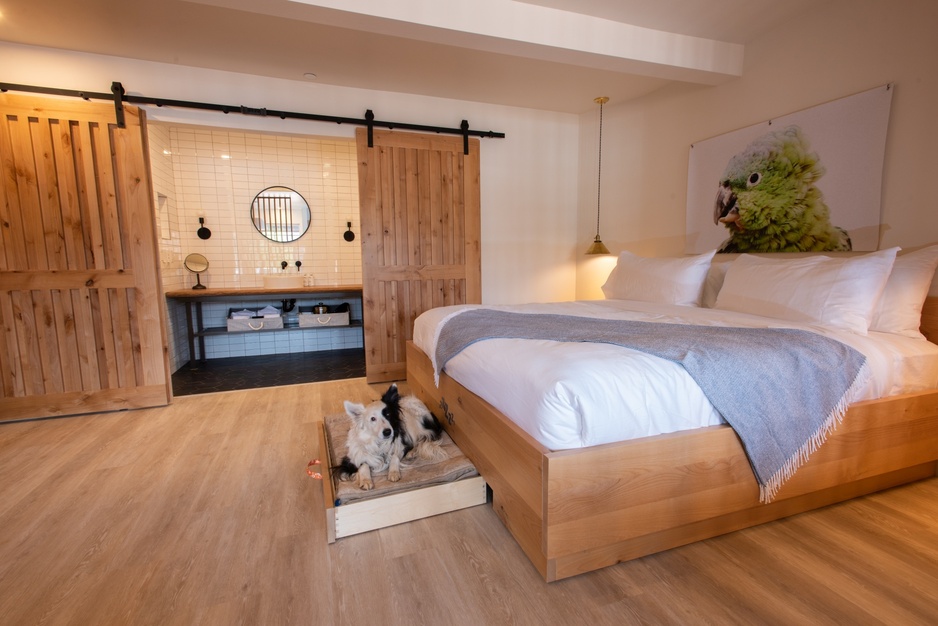 Best Friends Roadhouse Hotel Room