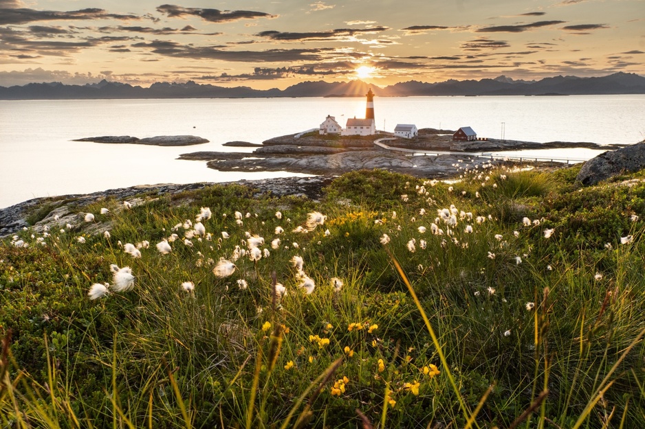 Greenery and the Tranøy Fyr Lighthouse Complex in Northern Norway