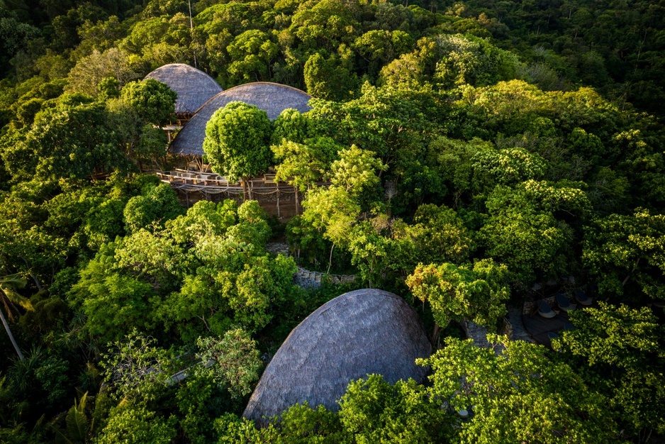 Bawah Reserve - Aerial Grouper Treetops Jules Verne With Green Forest