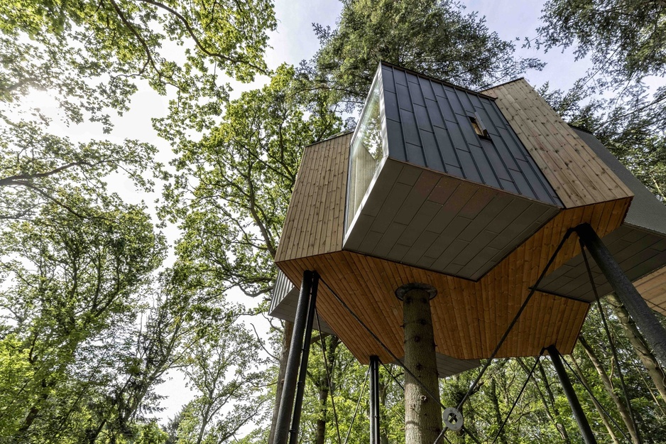 Lovtag Treetop Treehouse