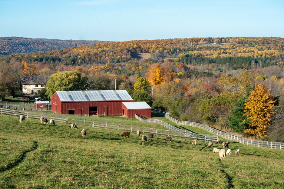 Farm Sanctuary, Watkins Glen