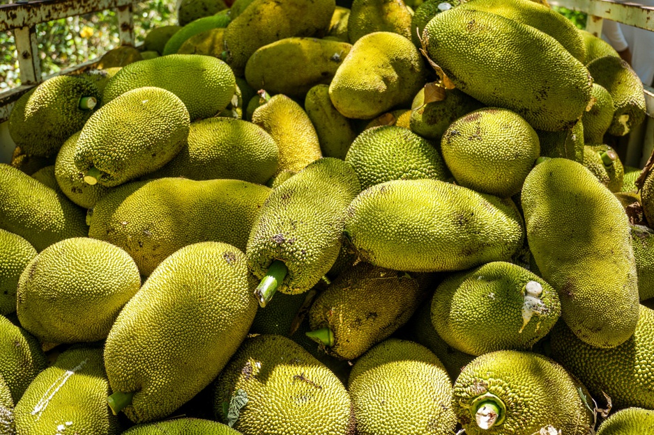 Jackfruits