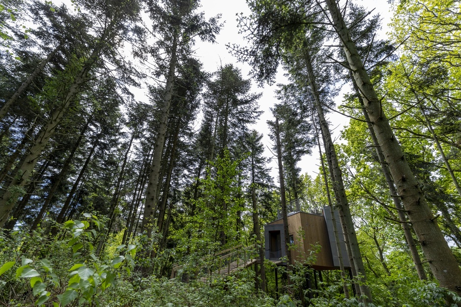 Lovtag Treetop Cabin