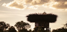 Segera Retreat Lodge - Green-Walled Safari Village In The Laikipia Plateau