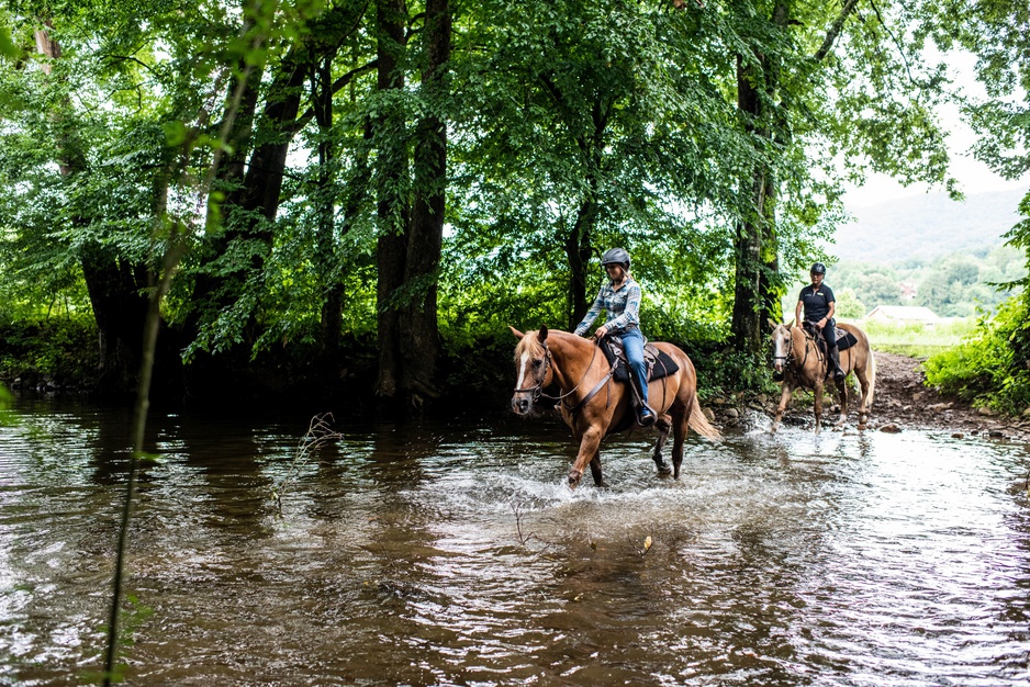 Blackberry Farm - Horseback Riding