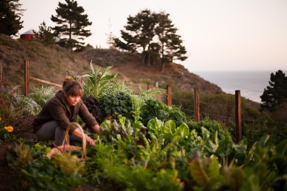 Treebones Resort Organic Gardening
