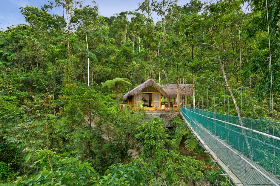 Canopy Honeymoon Suite
