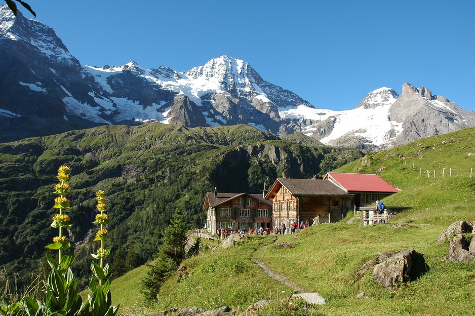 Berghotel Obersteinberg - Swiss Alpine Hotel
