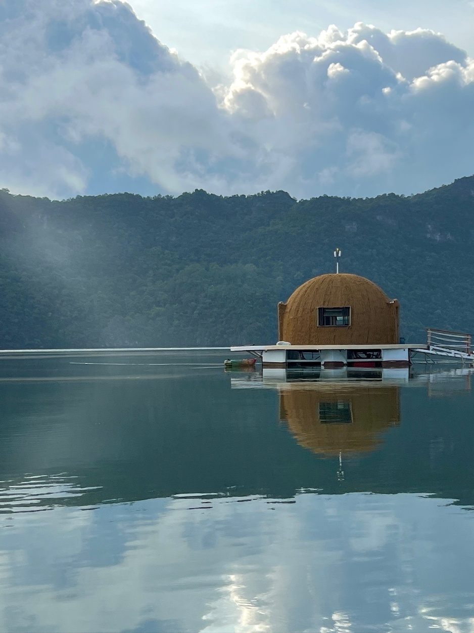 Coconest Floating on the Water