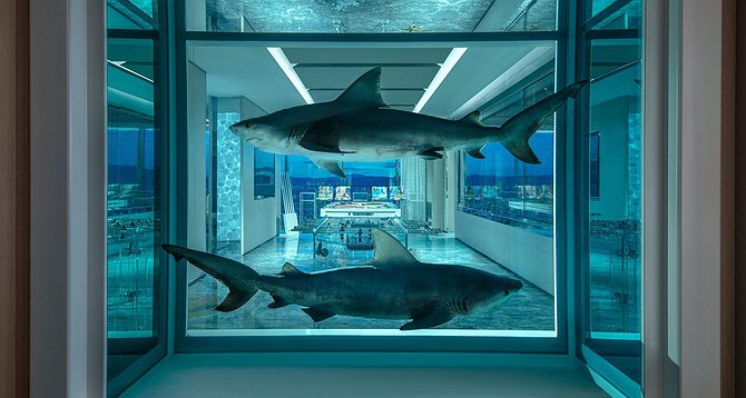 Palms Casino Resort The Empathy Suite Damian Hirst Shark Aquarium Art