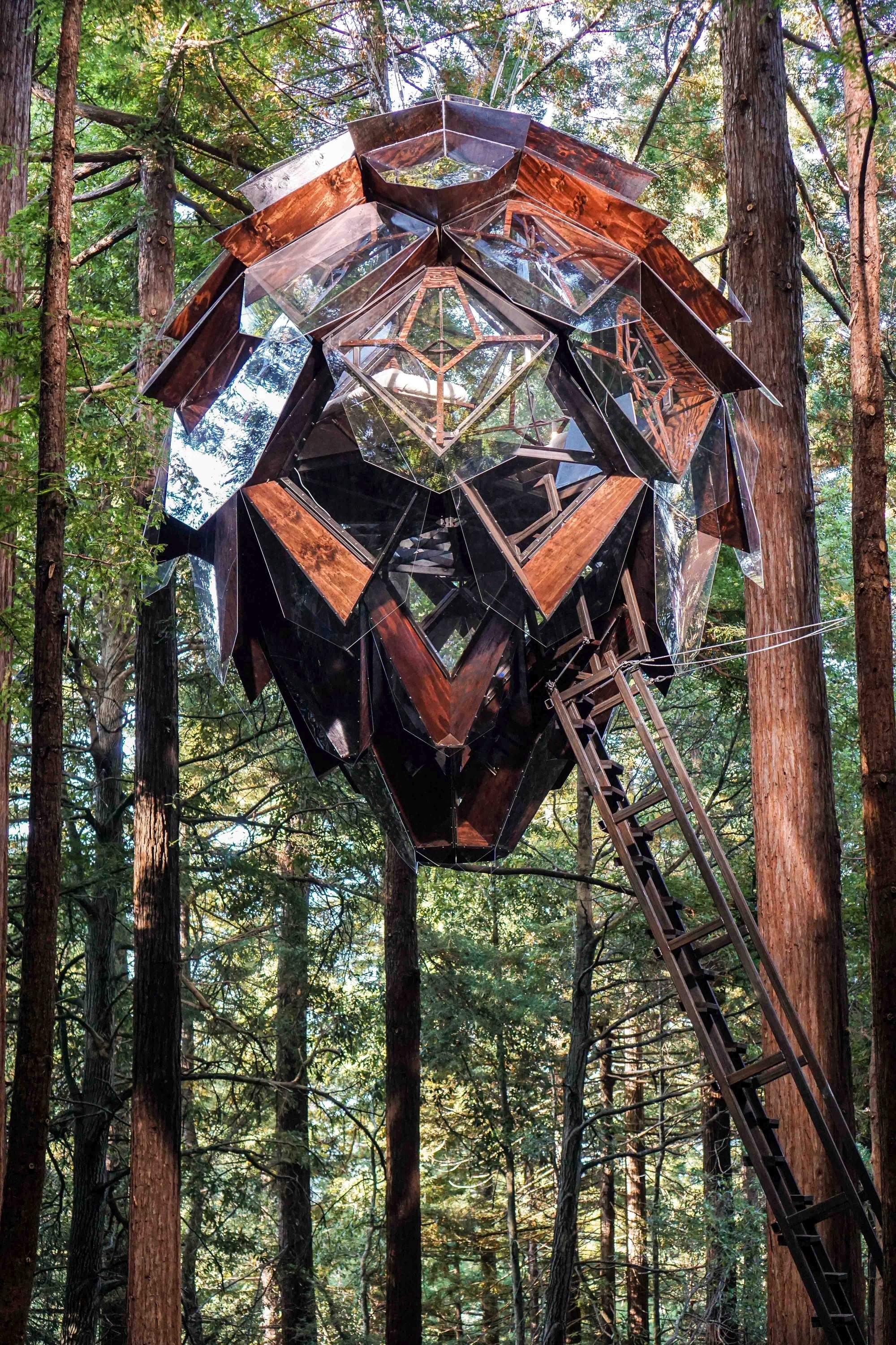 The 16 Unique Treehouse Hotel Designs