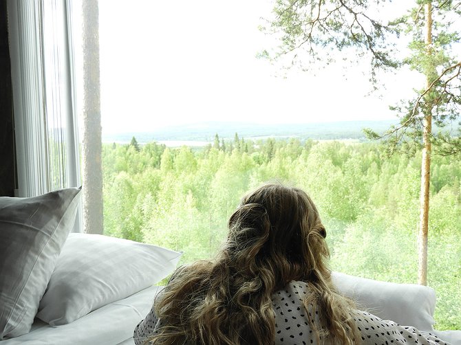 Treehotel Window To Nature