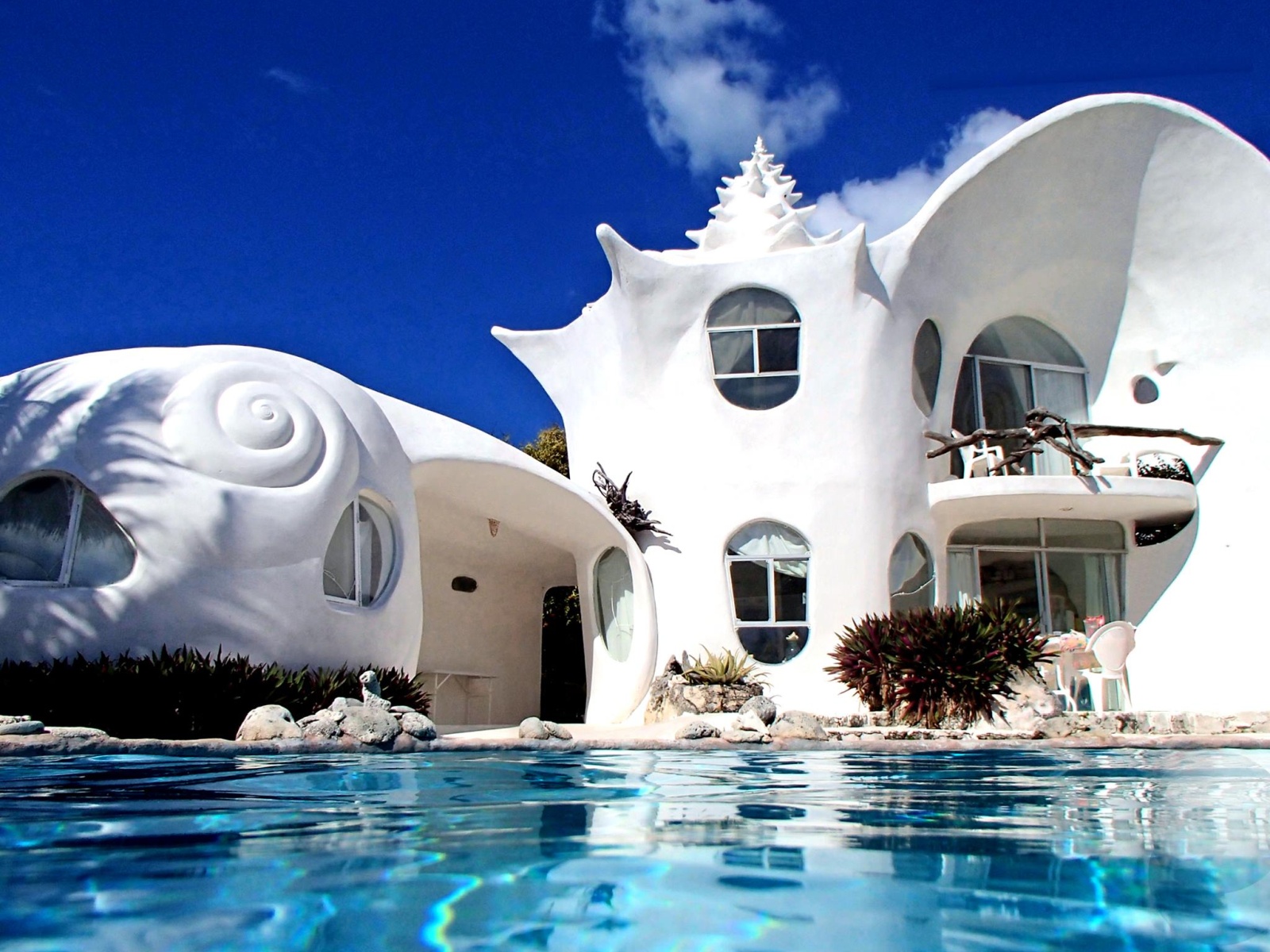 Unusual на русском. Исла Мухерес дом Ракушка. Conch Shell House (Исла-Мухерес, Мексика). Здание Ракушка Мексика. Conch Shell House (Мексика).