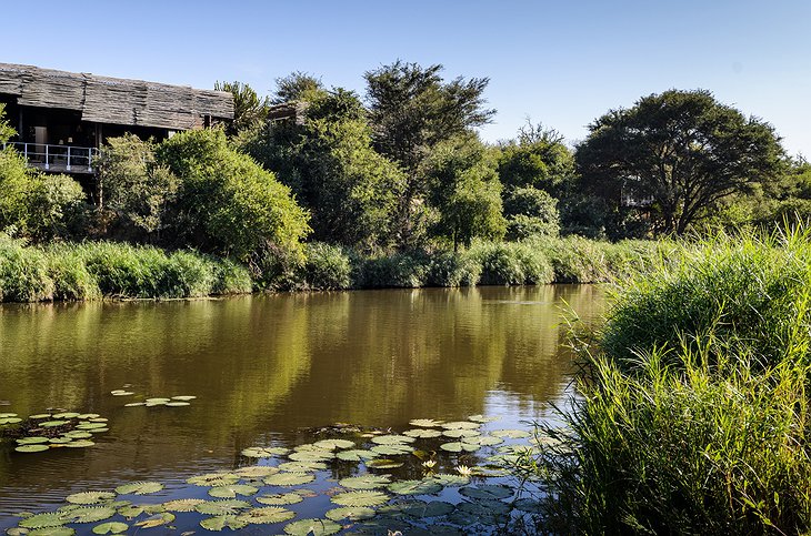 Singita Sweni Lodge in the Kruger National Park