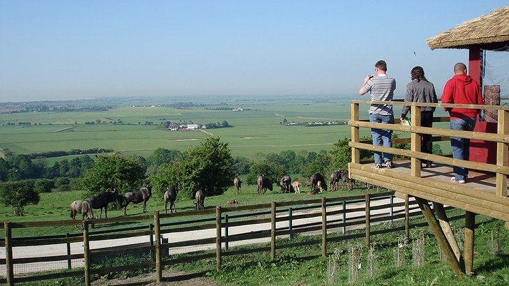 Veranda view on the safari