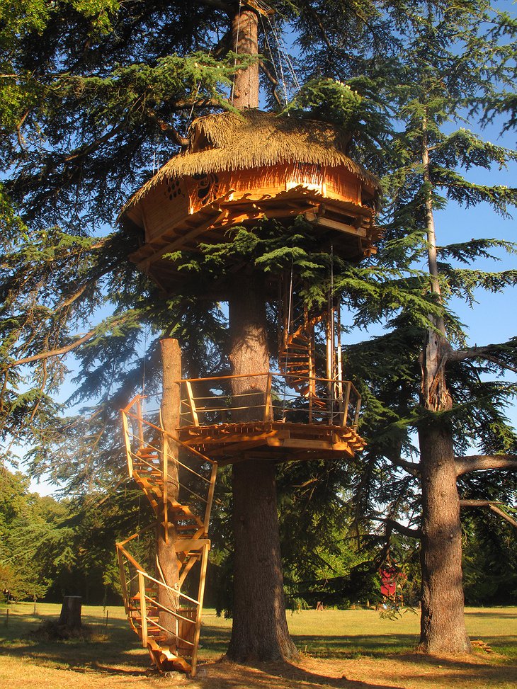 Sur Un Arbre Perche tree house