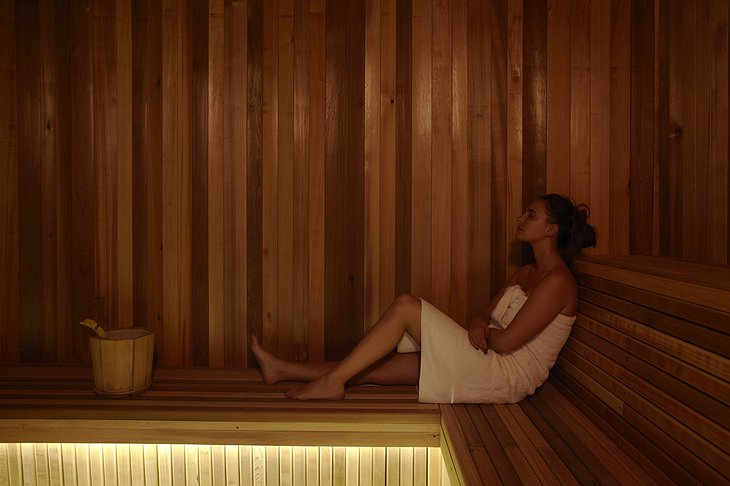 Totem Flaine Hotel sauna