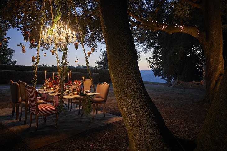 Tuscany Romantic Dinner Under the Trea