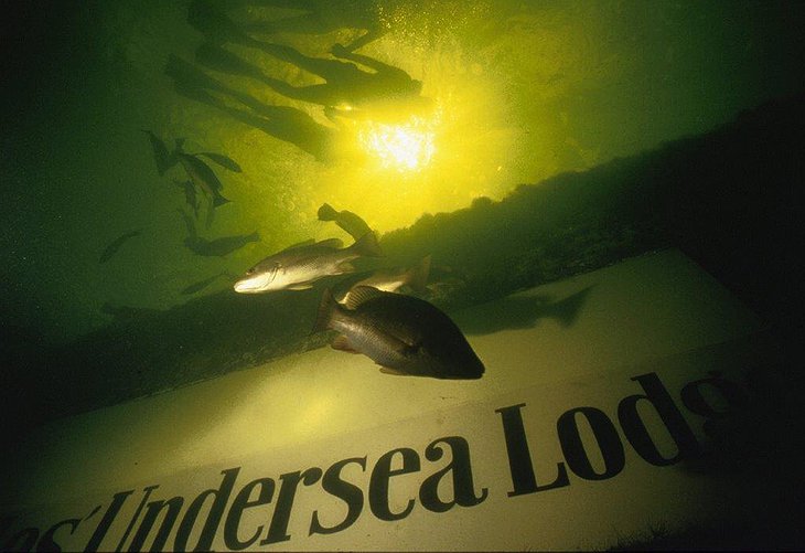 Jules' Undersea Lodge Sign