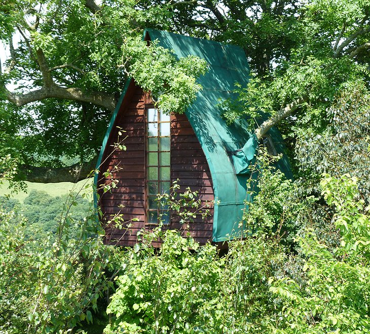 Tree Sparrow House close-up
