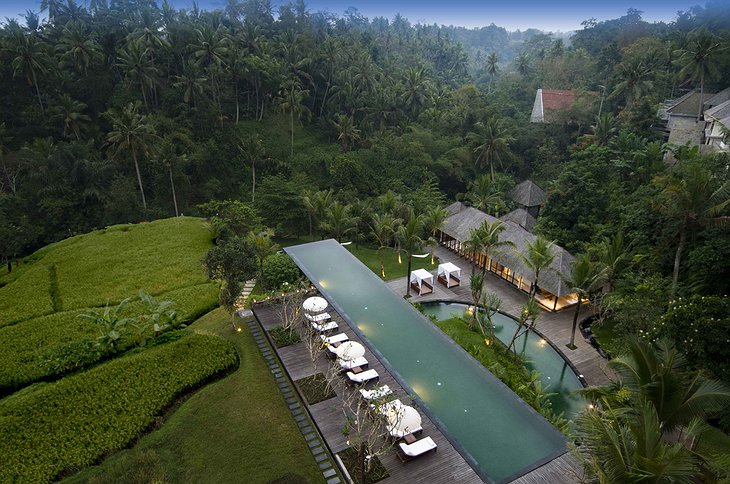 Komaneka at Bisma pool aerial