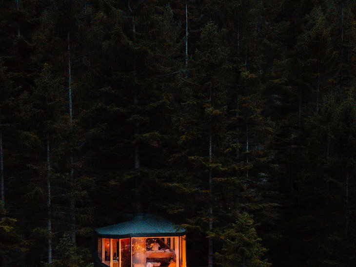 Woodnest Cabin In The Evening