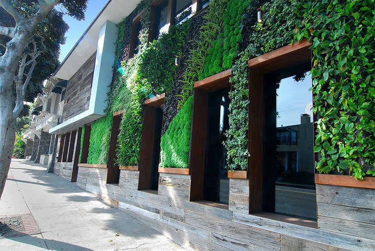 Seven4One Hotel green wall