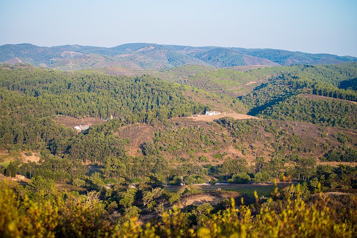 Muxima – Montes Ferreiros in the nature