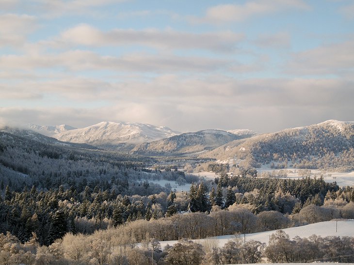 Snowy Balmoral