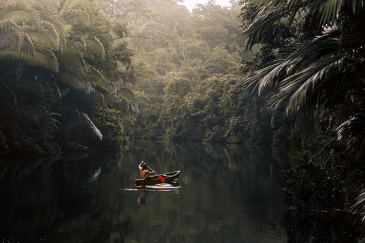 Belize Jungle Boat