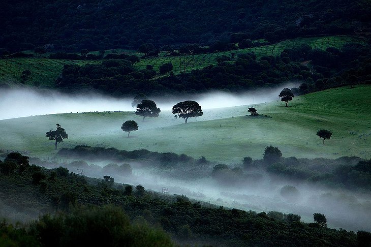 Corsica nature