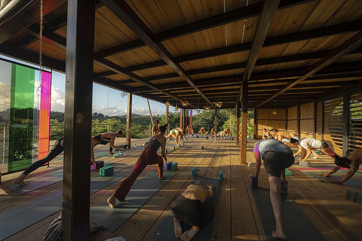 Finca Victoria Yoga Class