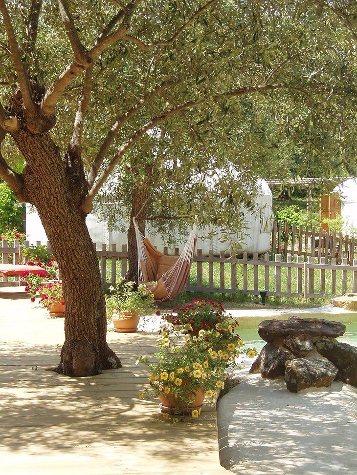 The Hoopoe Yurt Hotel hammock by the pool