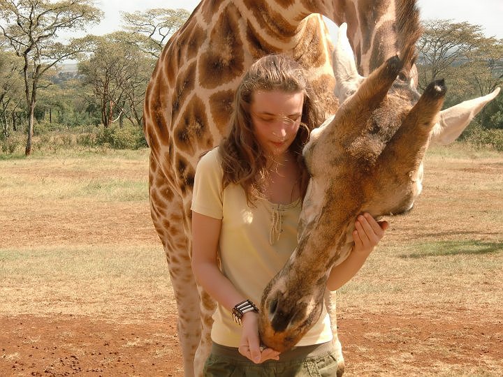 Girl feeding a giraffe